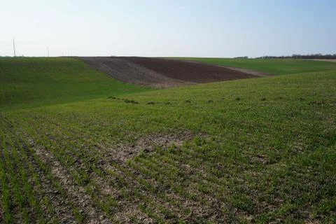 Farming Stock Photos