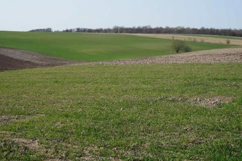 Farming Stock Photos