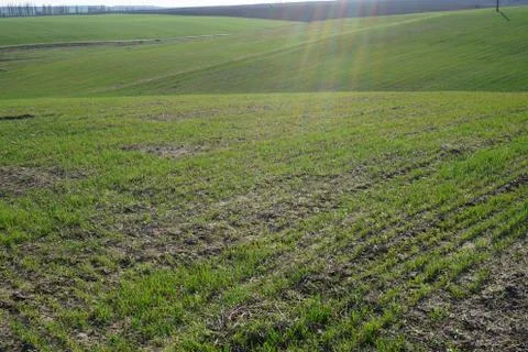 Farming 스톡 사진