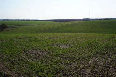 Farming Stock Photos