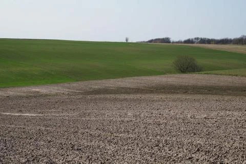 Farming Stock Photos