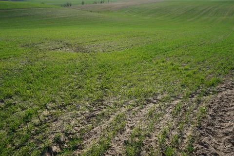 Farming Stock Photos