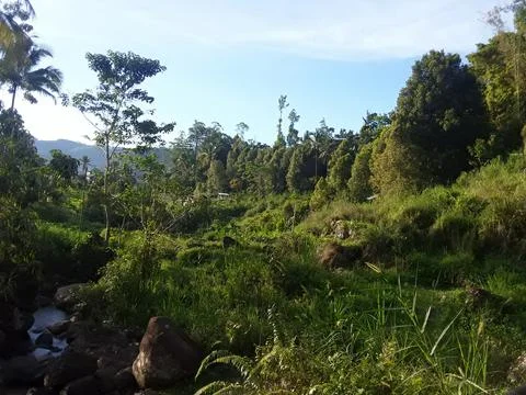 The farming Stock Photos