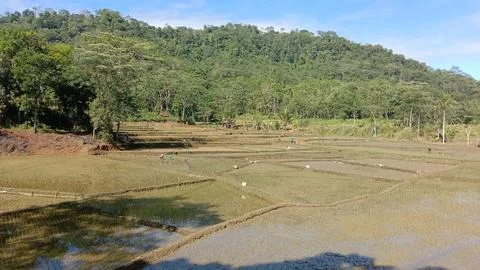Farming Stock Photos