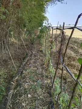Farming Stock Photos