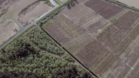 Farming in Pitt Meadows BC Canada Stock Footage 128838690