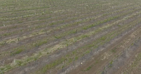 Farming Rancho Seco Nuclear Generating Station Drone Aerial View Stock Footage 194743849
