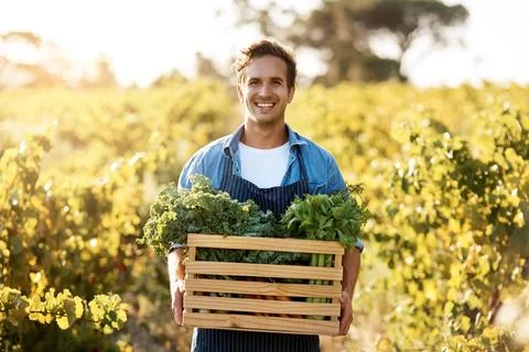 Farming requires time, hard work, dedication, perseverance and commitment. a Stock Photos