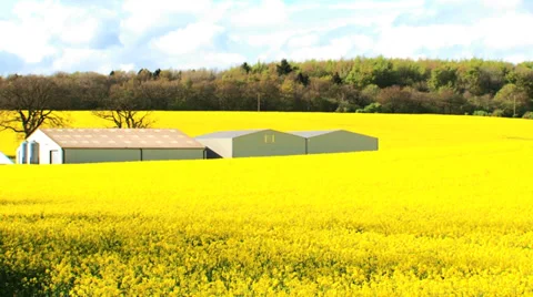 Farming Scene Stock Footage 37553982