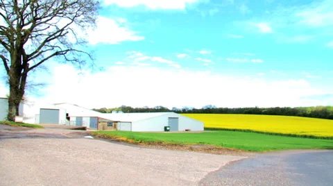 Farming Scene Stock Footage 37554101