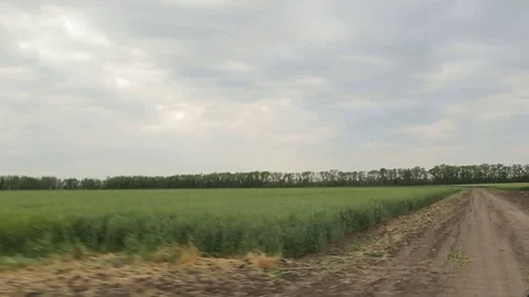 Farming sector Stock Footage 82281735