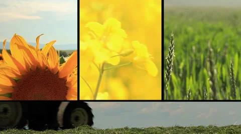 Farming Sequences Video stock 29655920