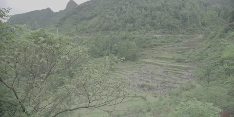 Farming steps Stock Footage 141387088