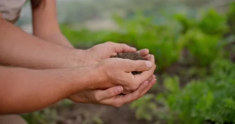 Farming Teamwork, hands come together with soil 库存影片 218488143