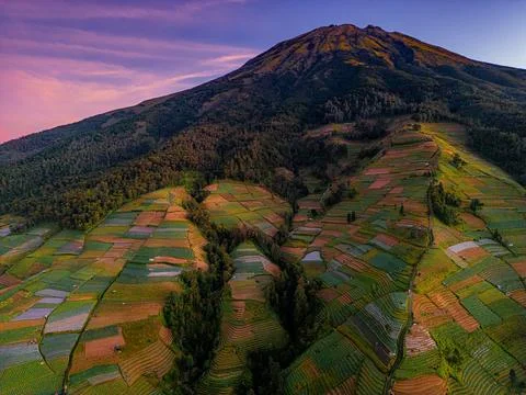 Farming terraces in Nepal Van Java Magelang, Indonesia at sunrise Stock Photos