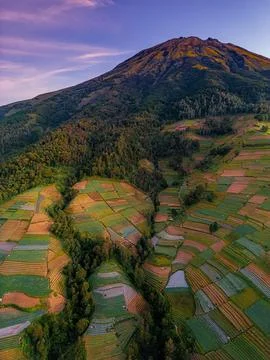 Farming terraces in Nepal Van Java Magelang, Indonesia at sunrise Stock-Fotos