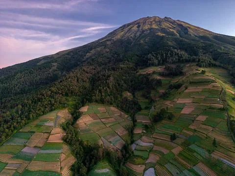 Farming terraces in Nepal Van Java Magelang, Indonesia at sunrise Stock-Fotos