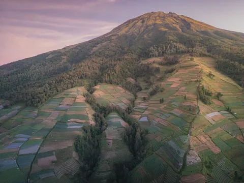 Farming terraces in Nepal Van Java Magelang, Indonesia at sunrise Stock-Fotos