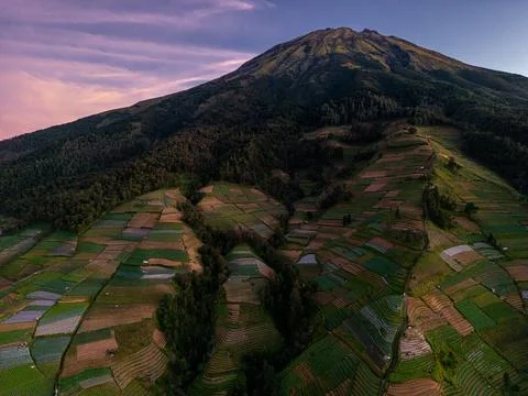 Farming terraces in Nepal Van Java Magelang, Indonesia at sunrise 写真素材