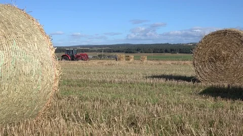 Farming Tractor Drives Between Hay Bales 4K 動画素材 81181033