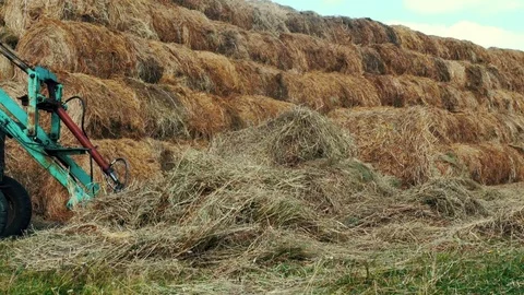 Farming tractor driving bales of straw on agricultural field. Rural farming Video stock 79675463