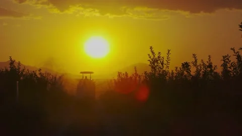 Farming tractor driving spraying on orchard apple fruit garden with sprayer, her Stock Footage 146591273
