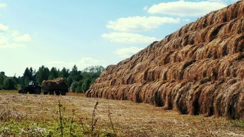 Farming tractor with hay in a cargo trailer. Agricultural industri Stock Footage 79674064