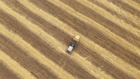 Farming tractor loading haystacks on agricultural field. Process loading straw Stock-Footage 175648901