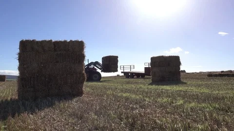 Farming Tractor Loading Trailor with Hay Bales 4K 動画素材 81205520