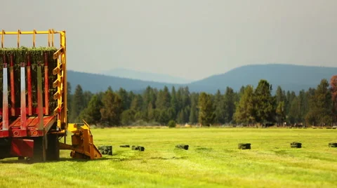 Farming tractor loads bales of hay Stock Footage 51685203