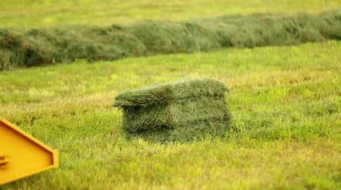 Farming tractor loads hay bale Stock Footage 51684621