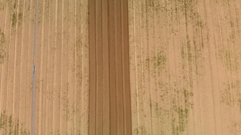Farming tractor plowing on field. Video stock 127550753