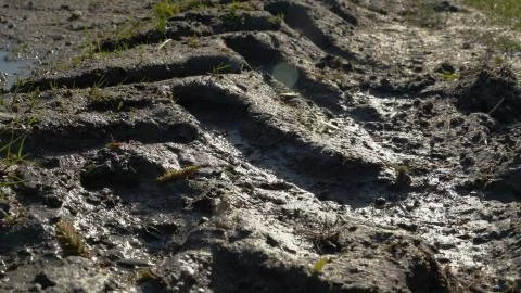 Farming tractor protector wheel traces on the field Stock Photos