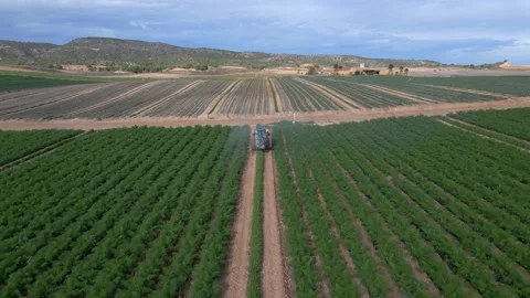Farming tractor spraying on green field  with sprayer, herbicides and pesticides Stock Footage 230915752
