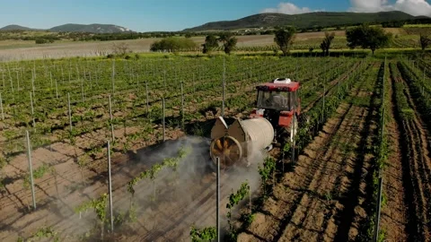 Farming tractor spraying on vineyards garden with sprayer, herbicides  Stock Footage 163057341