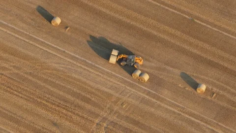 Farming tractor stacking hay bales in a golden wheat field Vidéo 348132796