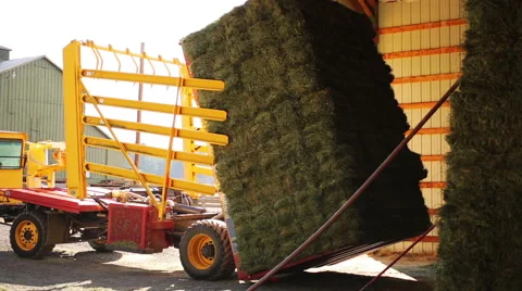 Farming tractor unloads large bale of hay Stock Footage 51685912