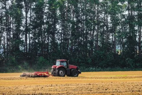 Farming tractor is working in the field. Disc harrow for crushing stubbles. Stock Photos