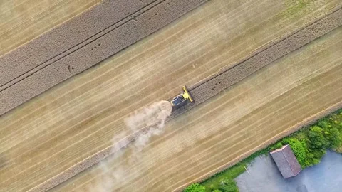 Farming, treshing machine - 082025 0285 Stock Footage 314830811