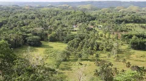 Farming in the Tropics Stock Footage 39981136