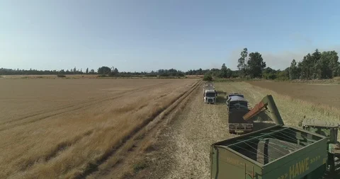 Farming trucks on field Stock Footage 124856055