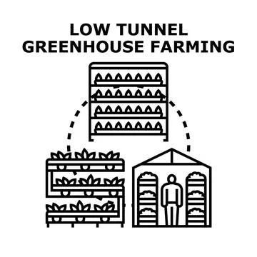 Farming using low tunnel greenhouse technology Stock Illustration