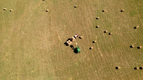 Farming vehicles sorting haybales in massive field, aerial view Stock Footage 263184083