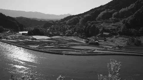 Farming village, terraced paddy fields and rice paddies,monochrome Stock Footage 279374802