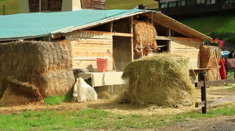 Farming woman Video stock 30661736