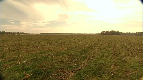 Farmland-6 Stock Footage 296503837