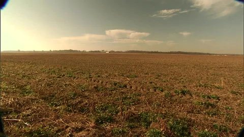 Farmland-7 Stock Footage 296503961