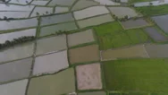 Farmland Aerial Bogs Stock Footage