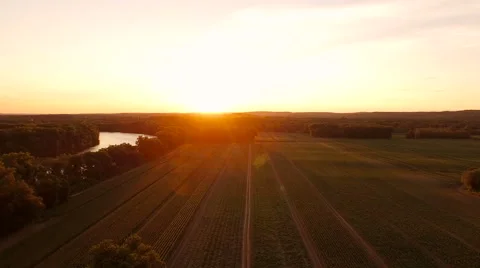 Farmland Aerial of fields Stock Footage 64283126