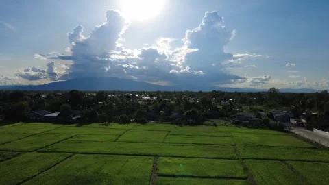 Farmland and distant mountains 動画素材 335025123